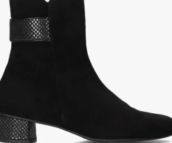 HASSIA e enkellaarsjes 303092>DAMES Enkellaarsjes