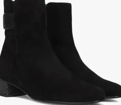 HASSIA e enkellaarsjes 303092>DAMES Enkellaarsjes