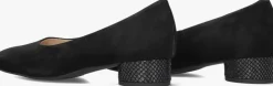 zwarte hassia pumps 302623