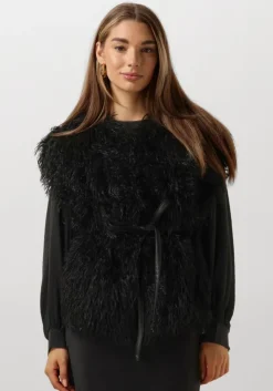 zwarte ibana gilet jannes