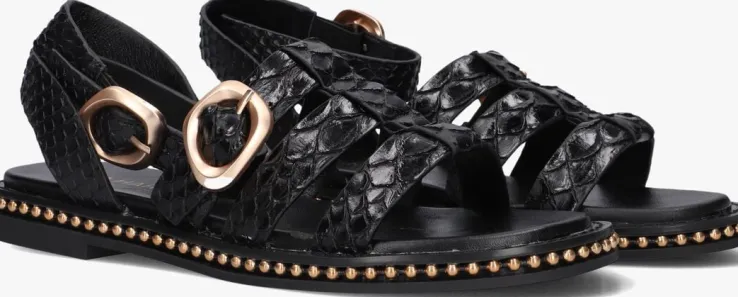 zwarte noa harmon sandalen 9737