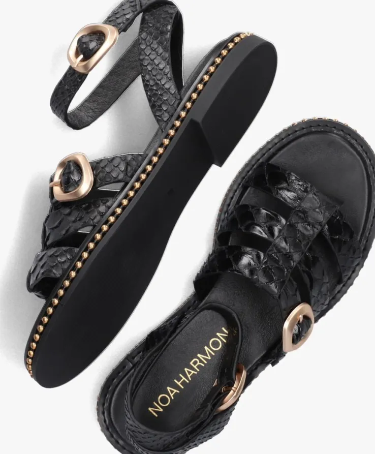 zwarte noa harmon sandalen 9737