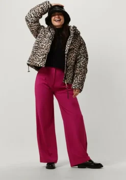 NOTRE-V e hoed zawbo-160><noscript><img width=