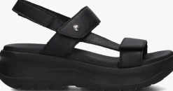 zwarte panama jack sandalen noor