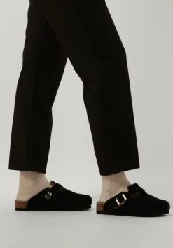 SCHOLL e instappers fae><noscript><img width=