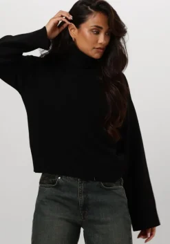 SELECTED FEMME e coltrui slfkamma ls knit roll neck>DAMES Truien & Vesten