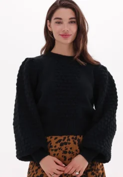 zwarte silvian heach trui sweater andrews