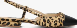 STEVE MADDEN e slingbacks belinda-l>DAMES Hakken|Slingbacks