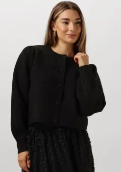 SUMMUM e vest knitted cardigan leopard jacquard knit>DAMES Truien & Vesten