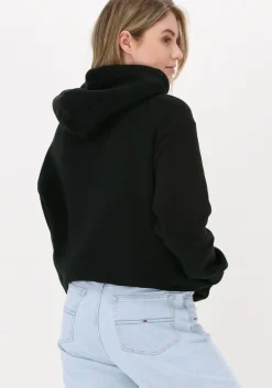 zwarte tommy jeans sweater tjw rlxd linear overlay hoodie