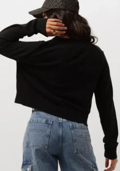 zwarte tommy jeans trui tjw essential badge cardigan