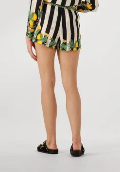 WILD e korte broek palermo><noscript><img width=