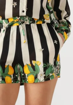 WILD e korte broek palermo><noscript><img width=