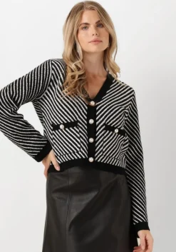 Y.A.S. e vest yascharla ls sequin knit cardigan>DAMES Truien & Vesten